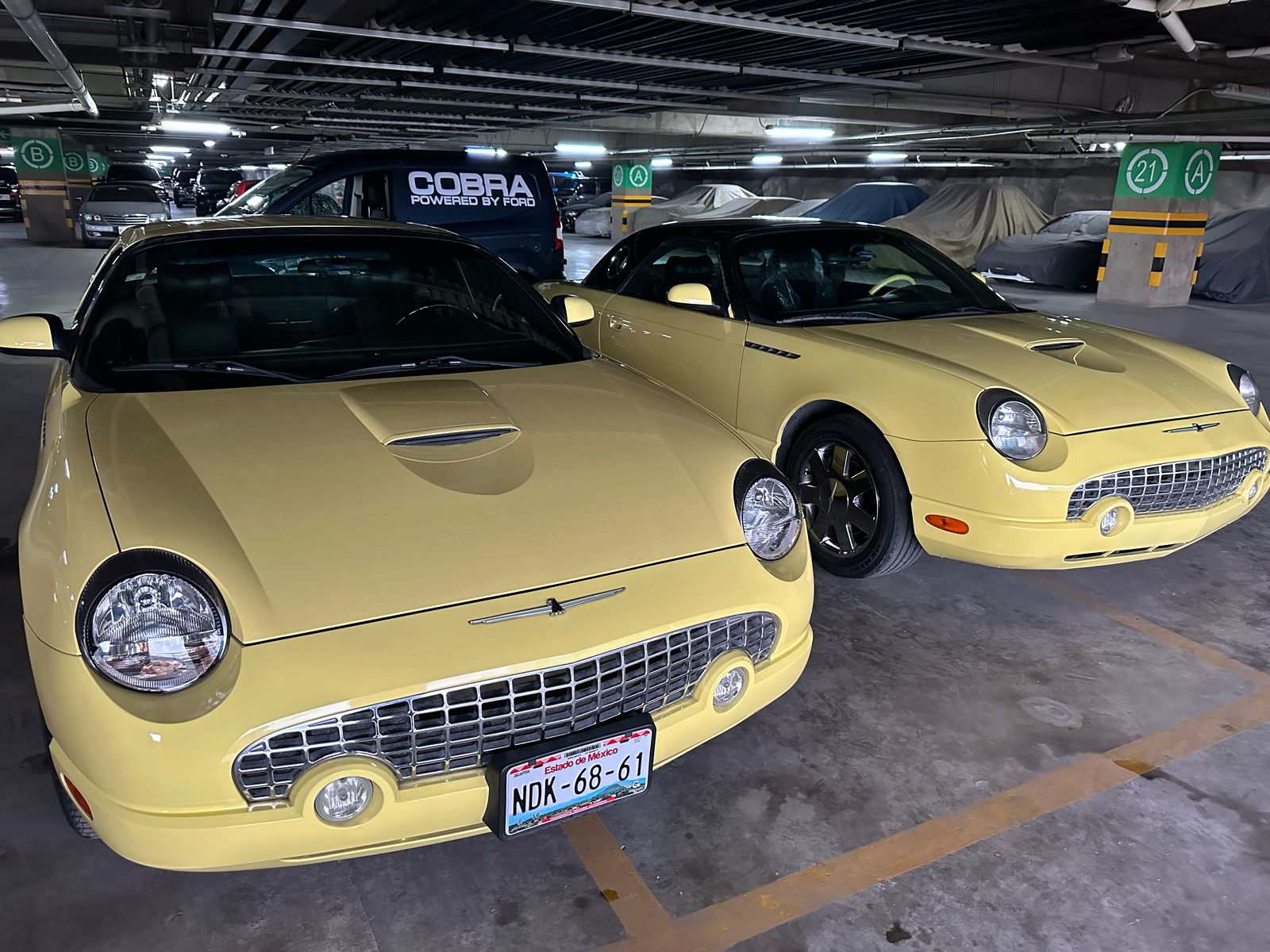 Thunderbird - View 3